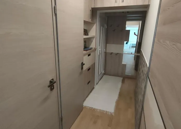 Szilvia كيستاي